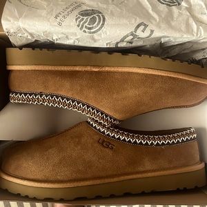 Men’s Tasman Ugg Classic Tan